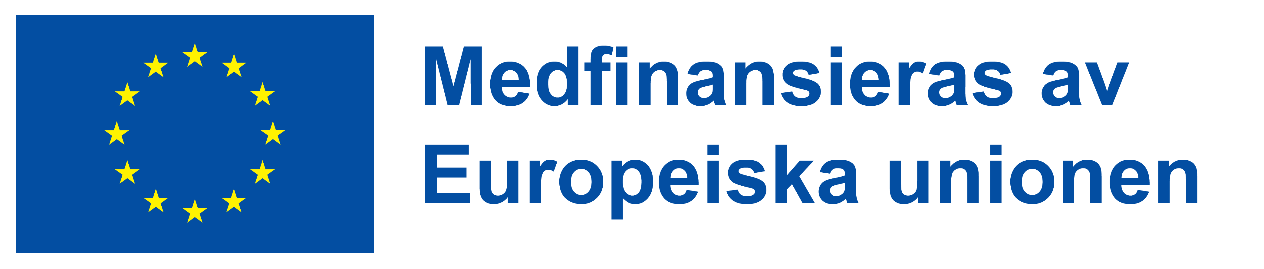 Europeiska unionens flagga och texten: Medfinansieras av Europeiska unionen.